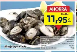 FROIZ Almeja japonesa oferta