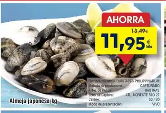 FROIZ Almeja japonesa oferta