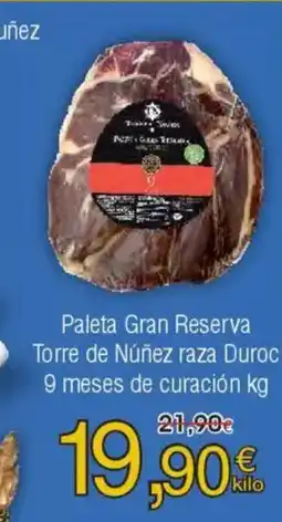 FROIZ Paleta Gran Reserva Torre de Núñez raza Duroc 9 meses de curación oferta