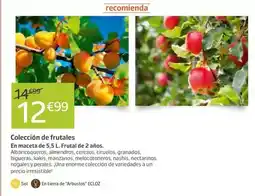 Eroski Central lechera asturiana - leche semidesnatada brik oferta
