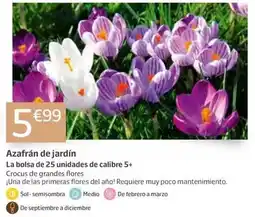 Eroski Barra gourmet oferta