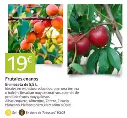 Eroski Pescanova - anillos a la romana oferta