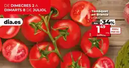 Dia Tomate en rama oferta