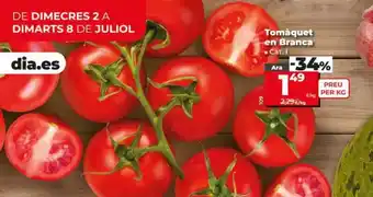 Dia Tomate en rama oferta