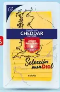 Dia Dia selección mundial - queso cheddar inglés en lonchas 160 g oferta