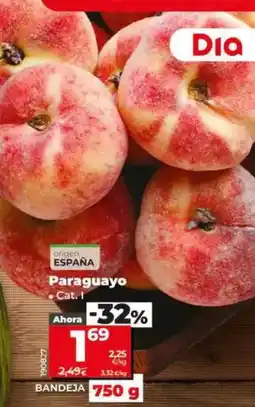 Dia Paraguayo bandeja 750 g oferta