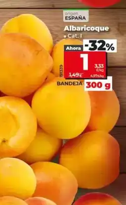 Dia Albaricoque bandeja 300 g oferta