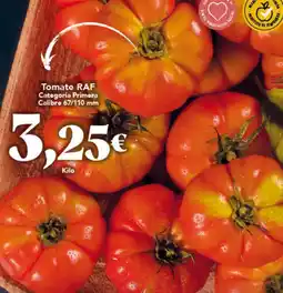 Gadis Tomate RAF Categoría Primora Calibro 67/110 mm oferta