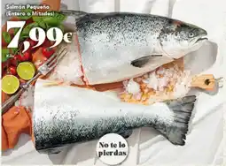 Gadis Salmón Poqueño (Entoro o Mitados) oferta