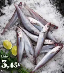 Gadis Lirio oferta