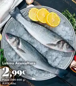 Gadis Lubina Acuicultura oferta
