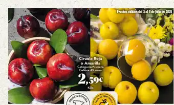 Gadis Ciruola Roja o Amarilla oferta
