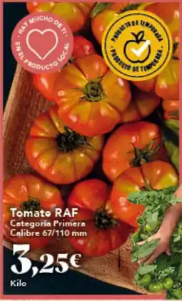 Gadis Tomato RAF oferta