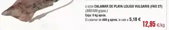 Abordo Calamar de playa loligo vulgaris oferta
