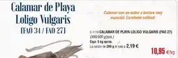 Abordo Calamar de playa loligo oferta