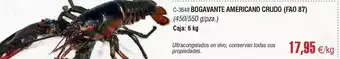 Abordo Bogavante americano crudo oferta