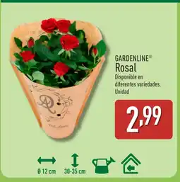 ALDI GARDENLINE Rosal oferta