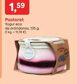 Suma Supermercados PASTORET Yogur eco de arándanos oferta