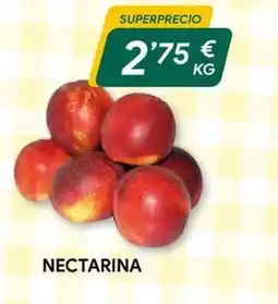 Masymas Nectarina oferta