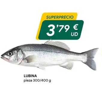 Masymas Lubina oferta