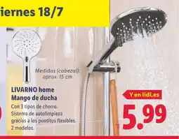 Lidl LIVARNO home Mango de ducha oferta
