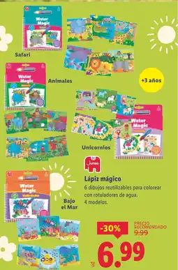 Lidl Lápiz mágico oferta