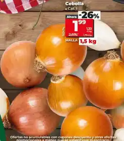 Dia Cebolla oferta
