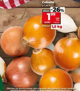 Dia Cebolla oferta