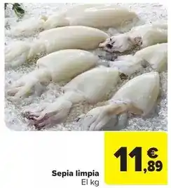 Carrefour Market Sepia limpia oferta