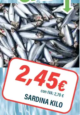 Cash Ifa Sardina oferta