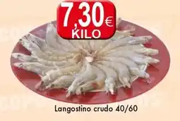 Congelados Copos Langostino crudo 40/60 oferta