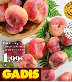 Gadis Paraguayo oferta