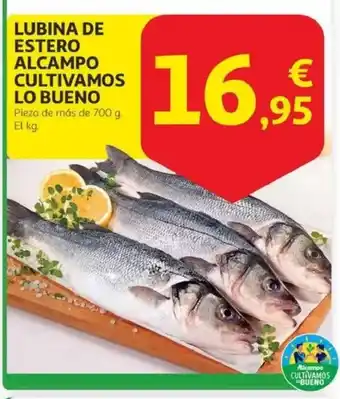 Alcampo Lubina de estero alcampo cultivamos lo bueno oferta