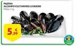 Alcampo Mejillón oferta