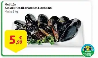 Alcampo Mejillón oferta