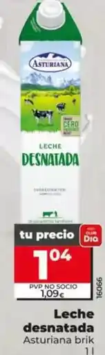 Dia Asturiana - leche desnatada oferta