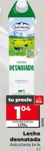 Dia Asturiana - leche desnatada oferta