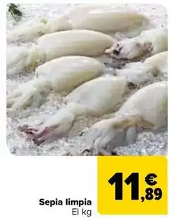 Carrefour Sepia limpia oferta