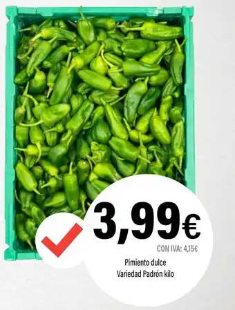 Cash Ifa Pimiento dulce Variedad Padrón oferta
