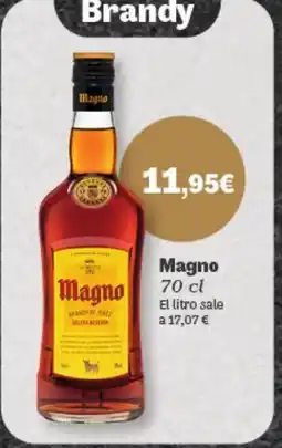 Hiperber MAGNO oferta