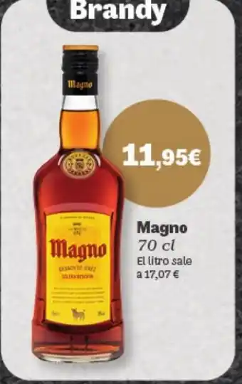 Hiperber MAGNO oferta