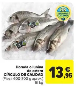 Carrefour Market CÍRCULO DE CALIDAD Dorada o lubina de estero oferta