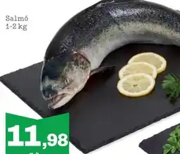 Sorli Salmó oferta