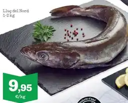 Sorli Lluç del Nord oferta