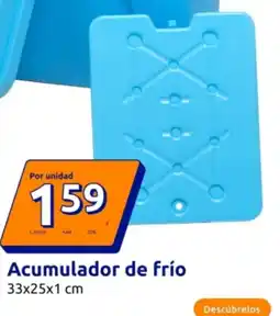 Action Acumulador de frío oferta