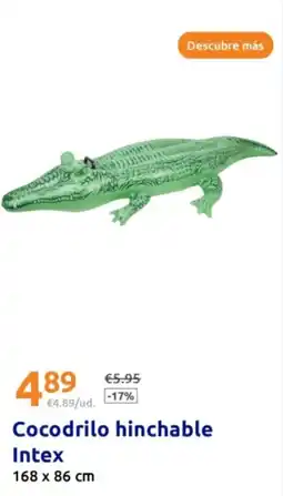 Action Cocodrilo hinchable Intex oferta