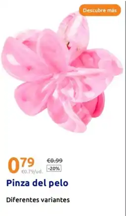 Action Pinza del pelo oferta