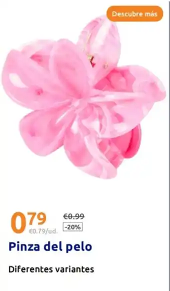 Action Pinza del pelo oferta