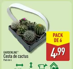 ALDI GARDENLINE Cesta de cactus oferta