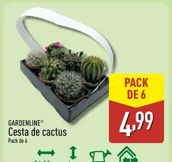 ALDI GARDENLINE Cesta de cactus oferta